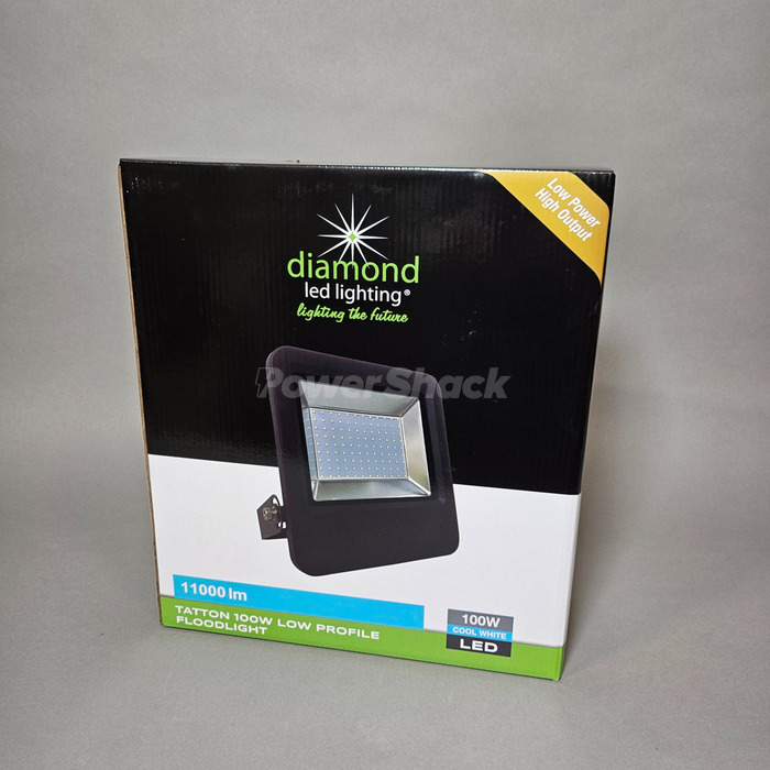 Diamond LED Tatton II 100w Flood Light 