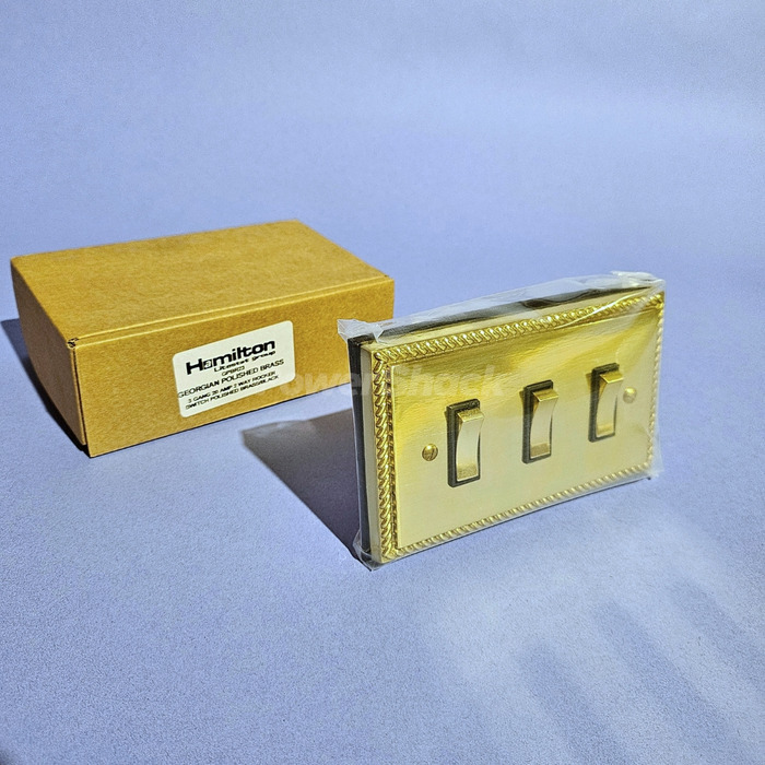 Hamilton Georgian Polished Brass Switch