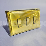 Hamilton Georgian Polished Brass Switch